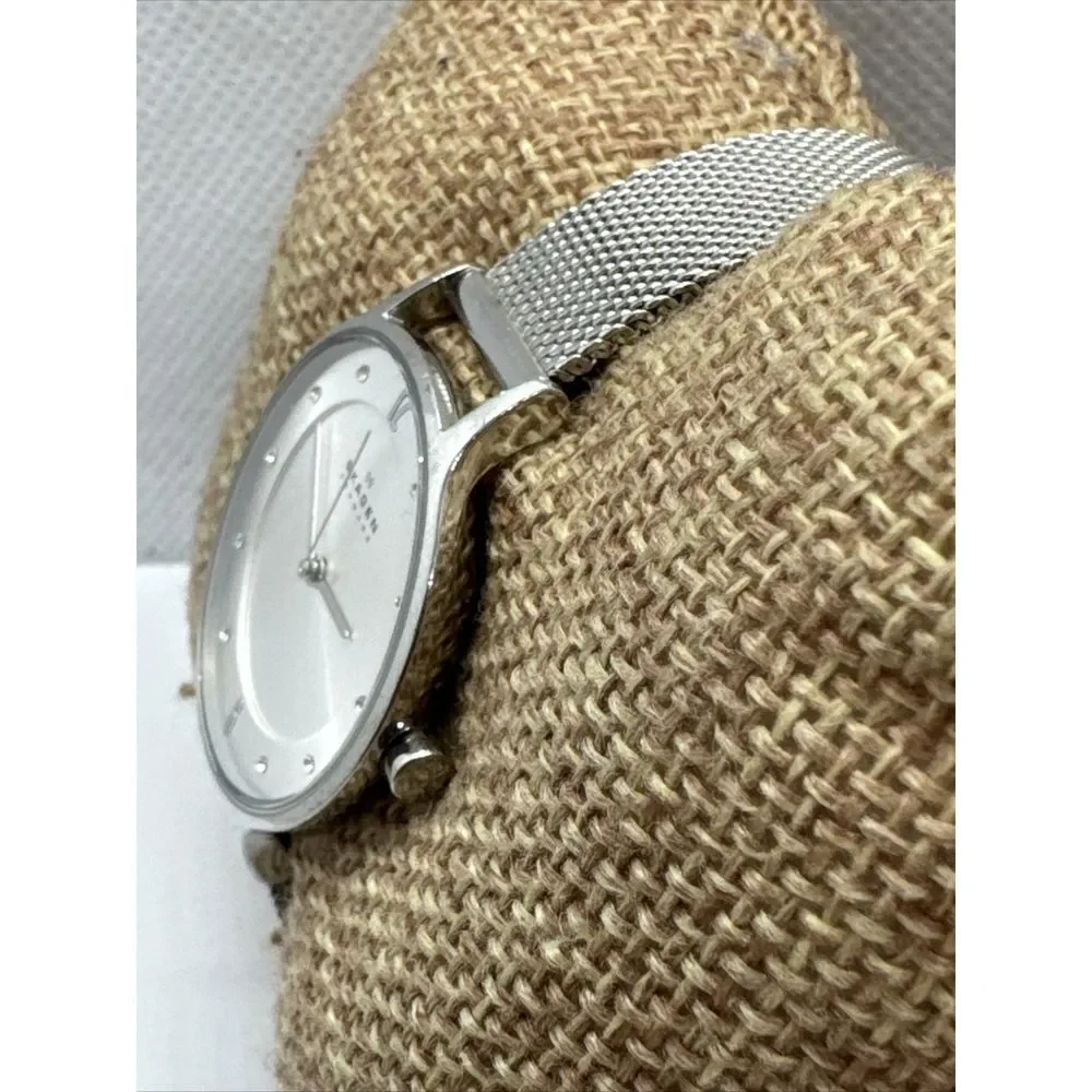 Skagen Anita Lille SKW2149 Women Silver Stainless Steel Mesh Analog Watch JNA891